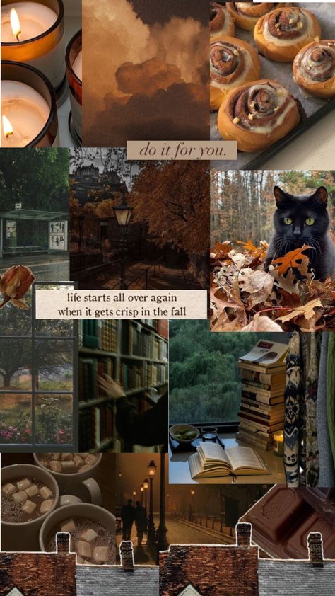 Cozy November Aesthetic Wallpaper, November Vibes Aesthetic, November Vibes Wallpaper, Dark Autumn Wallpaper, Dark Fall Aesthetic Wallpaper, Fall Wallpaper Dark, Autumn Vibes Wallpaper, November Aesthetic Wallpaper, Dark Fall Wallpaper