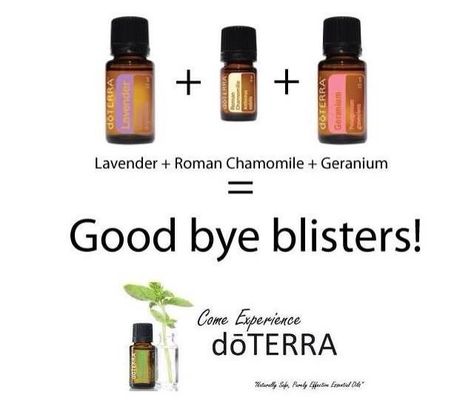 Say goodbye to blisters with eo's! www.onedoterracommunity.com https://www.facebook.com/#!/OneDoterraCommunity Essential Oils For Blisters, How To Heal Blisters, Eo Blends, Doterra Oil, Doterra Essential Oils Recipes, Essential Oil Storage, Essential Oils For Skin, Healing Oils, Essential Oil Roller