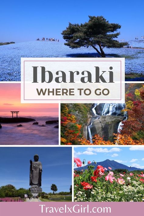 Where to go in Ibaraki prefecture Japan Planning, Ibaraki Japan, Hitachi Seaside Park, Baby Blue Eyes, Japan Travel Destinations, Seaside Park, Japan Destinations, Visit Tokyo, Japan Itinerary