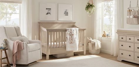 Gentle Forest Nursery | Pottery Barn Kids Nursery Pottery, Pottery Barn Nursery, Toddler And Baby Room, Pottery Barn Baby, Forest Nursery, Playful Decor, Organic Bedding, Bath Time Fun, Nursery Inspiration