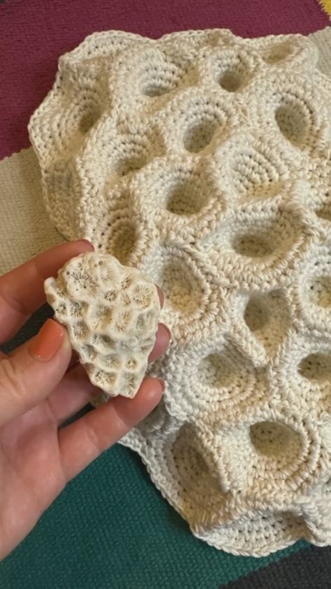 Anna Shepelieva (@anna.shepelieva) • Фото и видео в Instagram Crochet Ammonite Pattern, Seaweed Crochet, Unique Crochet Ideas Creative, Organic Crochet, Unique Crochet Stitches, Freehand Crochet, Crochet Sculpture, Hyperbolic Crochet, Crochet Coral