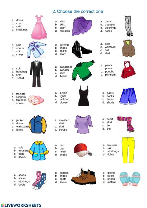 Clothes English Vocabulary, Clothes Worksheet, Thanksgiving Readings, Butterflies Activities, Esl Teaching Resources, Esl Vocabulary, Learning English For Kids, 2nd Grade Worksheets, Grammar Activities