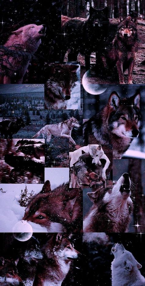 @handcraftedheaven
 subscribe to my handmade jewellery YouTube channel Wolf Snarling, Werewolf Aesthetic, Witch Board, Girly Bracelets, Witch Wallpaper, Pretty Wallpapers Tumblr, Animal Images, Dark Times, Wolf Photos