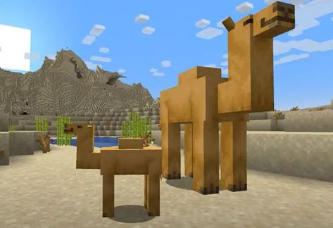 The new minecraft update adds a little camel! Youtube Minecraft, Camels Desert, Mojang Minecraft, Minecraft Pe, Biome, Minecraft 1, Minecraft Skin, Picture Credit, Texture Packs