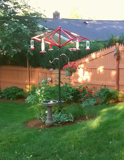 Repurposed umbrella frame is now a feeding station for hummingbirds Hummingbird Yard Ideas, Umbrella Frame Repurposed, Hummingbird Feeding Station, Hummingbird Station, Umbrella Upcycling, Repurposed Umbrella, Bird Feeder Stands, Bird Feeder Station, Backyard Birds Sanctuary