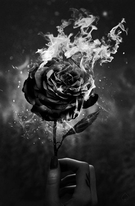 Rosé Dark Aesthetic, Realistic Eye Tattoo, Ivan Cornejo, Creepy Hand, Burning Rose, Black And Red Roses, Crown Aesthetic, Dark Beauty Photography, Beautiful Scenery Photography