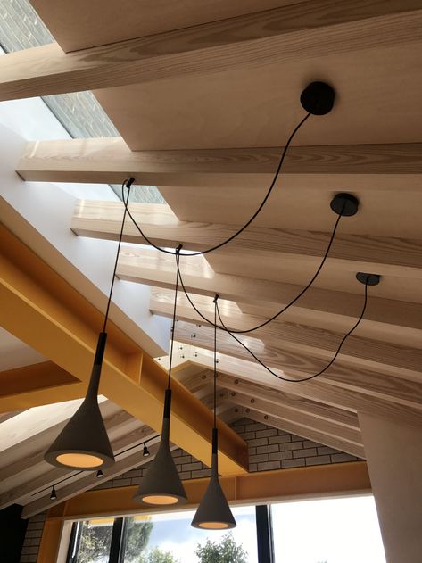 Open Ceiling Lighting Exposed Beams, Exposed Timber Ceiling, Timber Ceiling Lighting, Steel Beams Structure, Extension Roof, Exposed Trusses, Exposed Beams Ceiling, Steel Extension, Exposed Ceilings