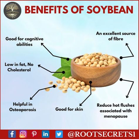 HEALTH BENEFITS OF SOYBEAN Soybean Benefits, Mango Flavor, Healthy Oils, Soybean Oil, Health Healthy, Real Food, Healthy Foods, Real Food Recipes, Health Benefits