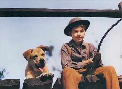 How many kids were traumatized by "Old Yeller" (1957) with Tommy Kirk? Old Yeller, Card Poster, How Many Kids, Card Shop, Lobby Cards, Movie Theater, Movies Showing, Movie Poster, Lobby