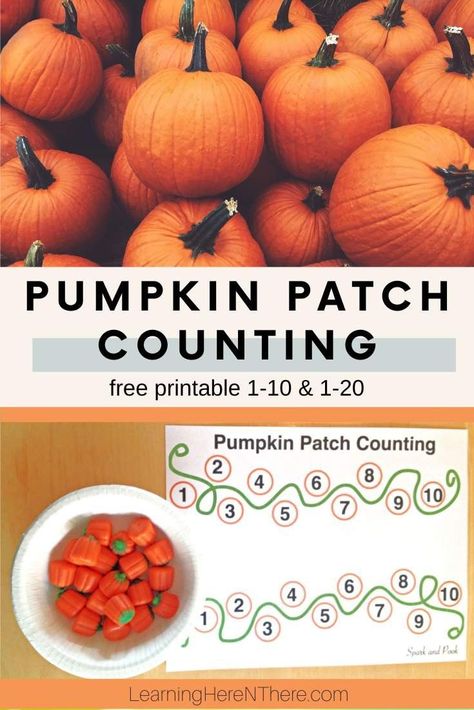 Preschoolers use candy pumpkin counters and this free printable pumpkin patch worksheet to practice counting to ten or counting to twenty. Pumpkin Activities Preschool, Pumpkin Patch Craft, Candy Pumpkin, Best Pumpkin Patches, Pumpkin Vine, Pumpkin Books, Pumpkin Candy Corn, Activity For Toddlers, Counting Activity