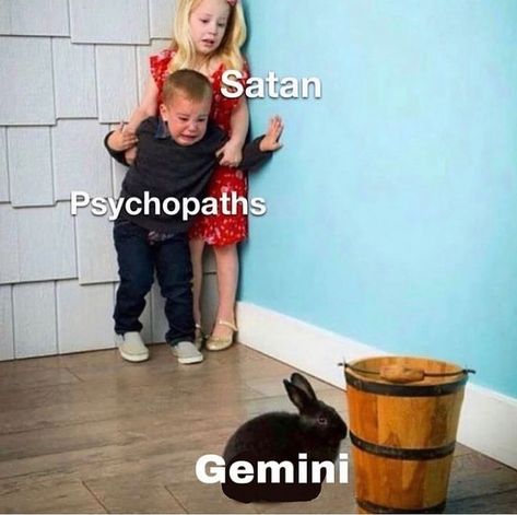 gemini memes♊️ on Instagram: "Why are we like this🤣🤣??? Follow @geminissue for more Gemini issue!♊️" Virgo Libra Cusp, Virgo Memes, High Jokes, Virgo Art, Horoscope Memes, Virgo Traits, Virgo Love, Virgo Quotes, Zodiac Signs Virgo