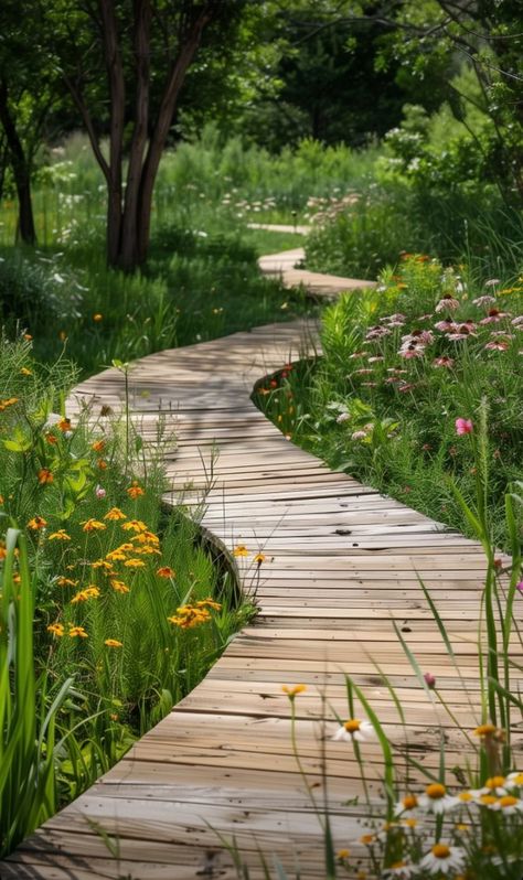 Board Walk Garden Pathways, Oak And Glass Walkway, Wooden Garden Walkway, Wooden Garden Path, Winding Garden Path, Wooden Pathway Ideas, Wood Walkways Paths, Wood Garden Path, Garden Boardwalk