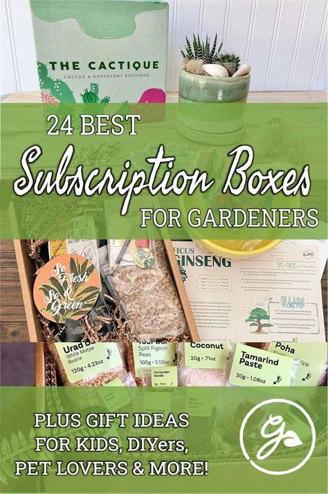 These 24 different cool subscriptions from Cratejoy offer something for everyone on your list this year. Subscription boxes are the gifts that keep on giving. On this list, you’ll find everything from seeds and houseplants to craft baking projects that change by month throughout the year. Subscription Box Business, Craft Box Subscription, Baking Projects, Gift Subscription Boxes, Gardening Gifts, Best Subscription Boxes, Gifts To Buy, Baking Project, Subscription Gifts