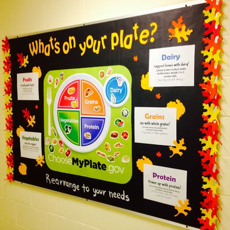 What's on your plate? Food And Nutrition Bulletin Board Ideas, Nutrition Board Ideas, Healthy Eating Bulletin Board, School Lunch Bulletin Board Ideas, Nutrition Bulletin Board Ideas, Healthy Bulletin Board Ideas, Lunch Bulletin Board Ideas, Wic Bulletin Board Ideas, Kitchen Bulletin Board Ideas