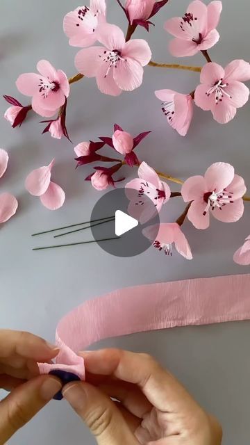 Aysel Bayrak on Instagram: "Sakura ❤️   Thanks 👉 Repost from @misspetalandbloom • Making cherry blossoms! I gotta say these little blooms look deceivingly simple but they’re a tough one to crack! Went through multiple multiple prototypes to get to this one and whoosh I’m glad to finally reach this point 😂🌸 . #papercherryblossoms #papersakuras #crepepapersakuras #cherryblossoms #sakura #diysakura #paperflowers #crepepapercherryblossoms #crepepaperflowers" Tissue Paper Cherry Blossoms, Sakura Flower Paper Craft, Diy Cherry Blossom Flowers Tissue Paper, Paper Blossom Flowers, How To Make Blossom Flowers, How To Make Paper Cherry Blossom Flowers, Diy Sakura Flower, Crepe Paper Cherry Blossoms, Paper Sakura Flower