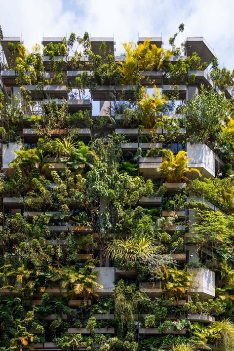 Vtn Architects, Vo Trong Nghia, Concrete Planter Boxes, Shigeru Ban, Outside Plants, Concrete Interiors, Green Facade, Nature Architecture, Concrete Building