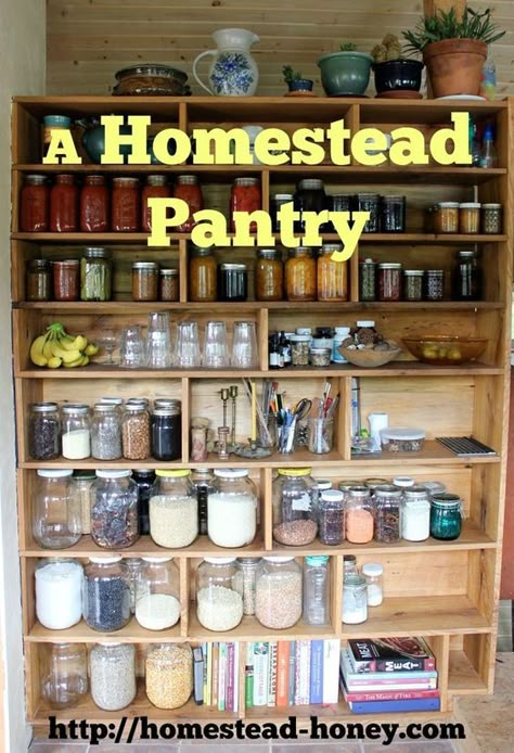 A custom built homestead pantry for our tiny house | Homestead Honey: Canned Good Storage, Homestead Pantry, Homestead Kitchen, Custom Pantry, Homesteading Diy, Root Cellar, Homestead Farm, Homestead Gardens, Homesteading Skills