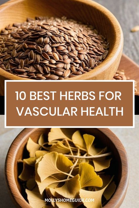 Discover the power of herbs and foods to enhance your vascular health naturally. Learn about the best herbs for circulation, such as horse chestnut and ginseng, which can help improve blood flow and reduce high blood pressure. Explore the benefits of L-Arginine and L-Citrulline in supporting healthy circulation. Find out how incorporating collinsonia root and other potent herbs into your routine can aid in reducing edema in legs and ankles. L Arginine Foods, Herbs For Heart Health, Accelerated Learning, Vegan Stew Recipes, Blood Circulation Remedies, Lower High Blood Pressure, Reduce High Blood Pressure, Herbal Education, First Aid Tips