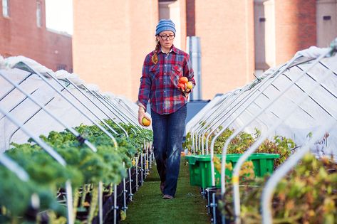 Farm manager Lindsay Allen (above) says the University’s affiliated teaching hospital started the farm atop BMC’s power plant “to provide superlocal, organic produce” for patients and staff and to reduce the environmental costs of procuring food. House Manager, Ware House, Hospital Management, Visual Story, Nutritious Food, Boston University, Hospitality Management, Organic Produce, Teaching Science