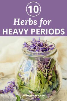 Menstrual Herbs, Menstrual Tips, Menstrual Tea, Womb Health, Period Remedies, Medicinal Remedies, Period Health, Heavy Menstrual, Menstrual Phase