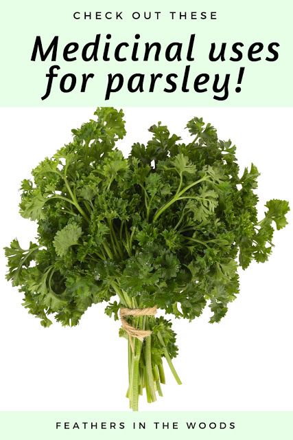 Parsley Benefits Natural Remedies, Uses For Parsley, Health Benefits Of Parsley, Parsley Tea For Kidneys, Parsley Benefits Health, Parsley Tea Benefits, Fresh Parsley Recipes, Benefits Of Parsley, Kidney Awareness