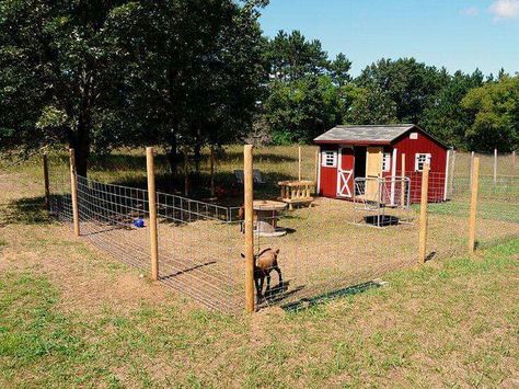 Goat enclosure Goat Playground, Goat Shed, Goat Pen, Goat Shelter, Small Goat, Goat House, Goat Care, Goat Barn, Raising Goats