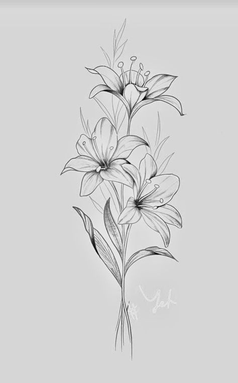 Lily Tattoo Design Forearm, Lilly Flower Tattoo Designs Forearm, Spine Tattoo Lillies, Stargazer Lilies Tattoo, Bunch Of Lillie’s Tattoo, Tigerlily Tattoo, Lily Flower Tattoo Designs, Lily Outline, Stargazer Lily Tattoo