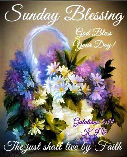 Sunday Blessings? Sunday Morning Blessings Kjv, Sundays Blessings, Good Afternoon Blessings, Sunday Morning Blessings, Afternoon Blessings, Daily Bible Scriptures, Blessed Sunday Quotes, Happy Sabbath Quotes, Sunday Prayer