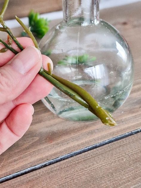 Fake Water In Vase With Glue, Faux Water In Vase Diy, Clear Glue In Vase With Flowers, Fake Water In Vase, Clear Glue Crafts, Fake Flower Arrangements Diy, Sitting In Water, Fake Flowers Diy, Plant In Water