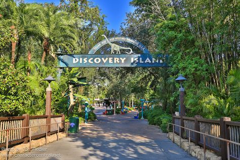 Final Day at Disney's Discovery Island Abandoned Malls, Discovery Island, He Is Able, Go Camping, Tropical Paradise, Abandoned Places, Walt Disney World, Animal Kingdom, Theme Park