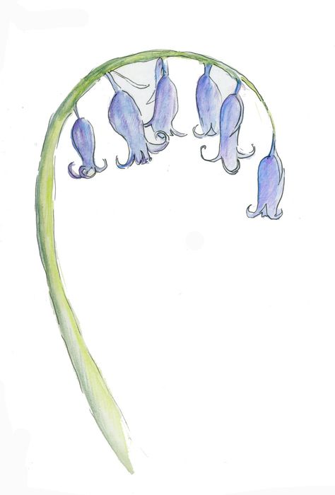 Sketch-a-day: Day 146 ~ bluebell by Ruthie Redden Bluebell Drawing Simple, Bluebell Outline, Bluebell Flower Drawing, Bluebell Sketch, Bellflower Drawing, Bluebells Drawing, Bluebell Drawing, Bluebell Illustration, Bluebell Painting