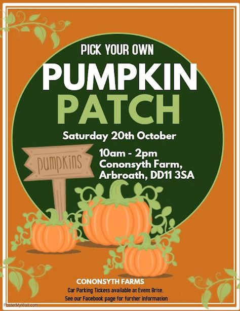 Scottish Pumpkin Patches 2018 | Foodie Quine - Edible Scottish Adventures Pumpkin Patch Flyer, Story Book Pumpkin, Pumpkins For Sale, October Holidays, Invert Colors, Pumpkin Patches, Classic Names, Promotional Flyers, Warm Clothes