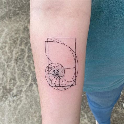 Raul Najera Tattoo | Fibonacci sequence in a nautilus shell | Instagram Nautilus Shell Tattoo, Nautilus Tattoo, Fibonacci Tattoo, Shell Tattoo, Shell Tattoos, Fibonacci Sequence, Nautilus Shell, Nautilus, Shells