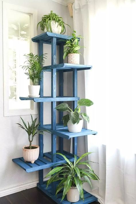 A blue tiered plant stand for corners is an excellent solution for optimizing space while adding a pop of color to your indoor garden. This design allows you to display several plants vertically, making it easy to showcase a variety of greens in one compact area. Perfectly fitting into tight spots, this stand can turn any corner into a lively focal point without overwhelming the room. The cheerful hue brightens up your space and complements various decor styles effortlessly. Diy Corner Plant Stand, Plant Stands Ideas, Indoor Corner Plant Stand, Room For Plants, Corner Plant Shelf, Tall Plant Stand Indoor, Indoor Plant Stands, Corner Plant Stand, Tiered Plant Stand