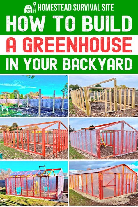 How to Build a Greenhouse in Your Backyard How To Build Your Own Greenhouse, Free Greenhouse Plans, Starting A Greenhouse, Homestead Rescue, Greenhouse Building, Homestead Style, Water Collection System, Aquaponics Diy, Water Barrel