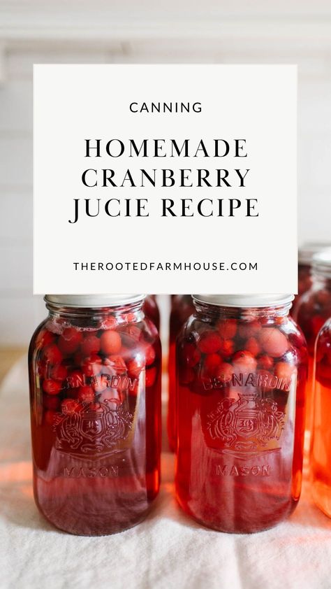 Juice Canning Recipes, Cranberry Juice Canning, How To Can Cranberry Juice, Cranberry Apple Juice Recipes, Canned Cranberry Juice, Cranberry Juice Canning Recipe, Cranberry Pineapple Juice, Sugar Free Cranberry Juice, Home Made Cranberry Juice