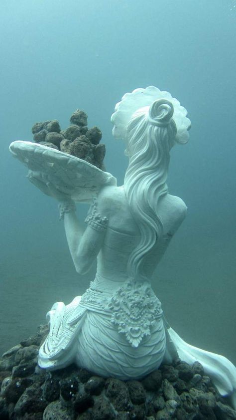 underwater Sculptures, Bali Underwater Statues, Underwater Sculpture, Traditional Sculptures, Conservation Art, Mermaid Statues, Sculpture Exhibition, Underwater Art, Under The Water, Sculpture Projects