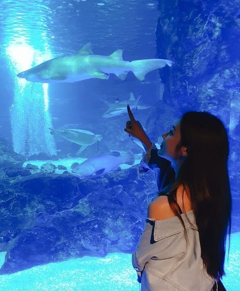 Aquarium Poses, Aquarium Poses Aesthetic, Aquarium Shark Aesthetic, Aquarium Photos, Aquarium Aesthetic Jellyfish, Dark Aquarium Aesthetic, Aquarium Pictures, Museum Outfit, Face Aesthetic