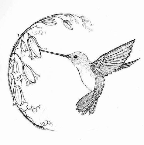 Hummingbird Tattoo Black, Hummingbird Tattoo Watercolor, Hummingbird Drawing, Kunst Tattoos, Tattoo Zeichnungen, Bird Sketch, Hummingbird Art, Hummingbird Tattoo, Pencil Art Drawings