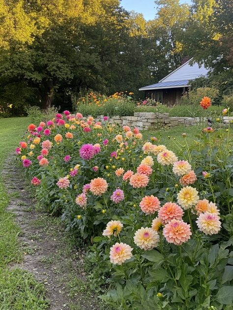 Cottage Flower Garden, Cut Flower Farm, Garden Inspo, Sunflower Garden, Country Charm, 2025 Vision, Flower Farm, Mini Garden, Photo Reference