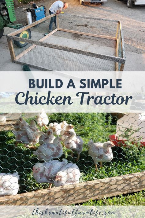 Portable Chicken Run Diy, Duck Tractor Coop, Mobile Chicken Coop Diy Tractors, Chicken Tractor For Meat Birds, Chicken Tractor Diy, Mobile Chicken Run, Chicken Tractor Ideas, Portable Chicken Run, Raising Meat Chickens