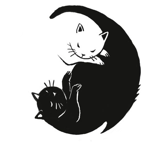 Yin Yang Cat Art, Yin Yang Aesthetic, Cat Yin Yang, Black And White Cats, Design Black And White, Vinyl Sticker Design, White Cats, Hippie Art, White Cat