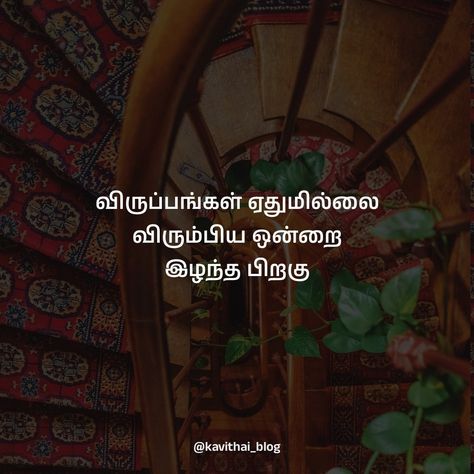 விருப்பங்கள் ஏதுமில்லை விரும்பிய ஒன்றை இழந்த பிறகு @kavithai_blog ✨ 96 Movie, Tamil Poems, Tamil Kavithai, Quotes Tamil, Murugan Wallpapers, Tamil Motivational Quotes, Reality Of Life Quotes, Happy Wallpaper, Best Romantic Song Lyrics