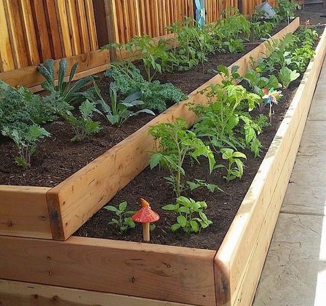 Vertical Herb Garden Wall Patio, 3 Tier Garden Bed, Small Backyard Garden Vegetable, Container Herb Garden, Landscaping Projects, Raised Vegetable Gardens, Garden Layout Vegetable, Small Vegetable Gardens, Herb Garden Design