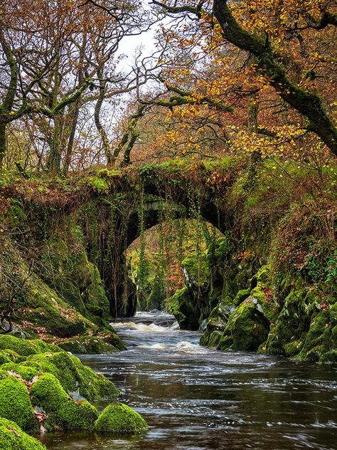 Personality Board, Roman Bridge, Old Bridges, Forest Setting, Nature Architecture, Beautiful Trees, North Wales, Ocean Views, Beautiful Places In The World