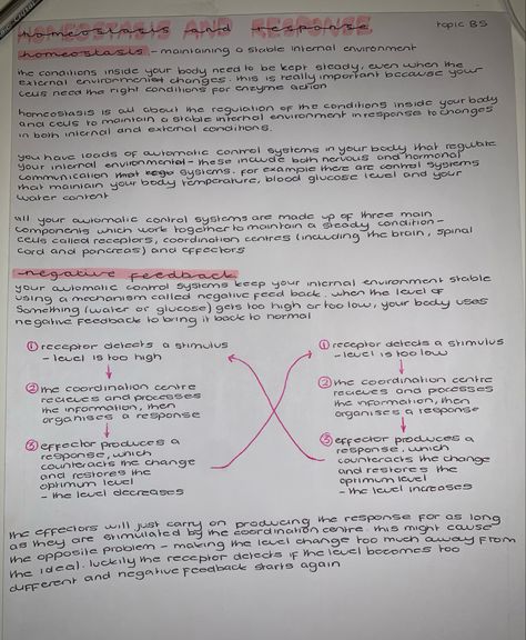 Cambridge Book, Negative Feedback, Gcse Revision, Medical School Essentials, Positive And Negative, School Essentials, Medical School, Study Notes, Biology