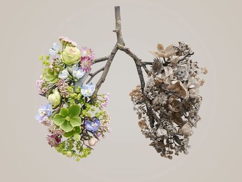 Lungs Art, Decay Art, Human Lungs, Growth And Decay, Healing Foods, Types Of Cancers, Respiratory System, Signs And Symptoms, Lungs