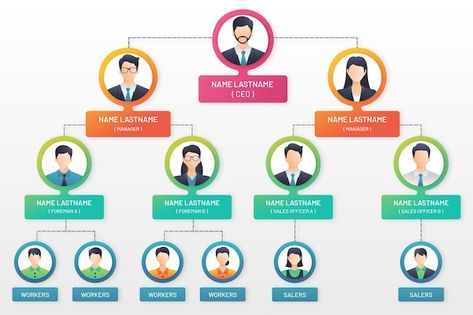 Gradient organizational chart infographi... | Free Vector #Freepik #freevector #organization-chart #statistics-infographic #infographic-template #gradient-infographic Organizational Chart Design, Small Office Design Interior, Small Office Design, Chart Infographic, Organization Chart, Org Chart, Organizational Chart, Modern Business Cards Design, Infographic Design Template