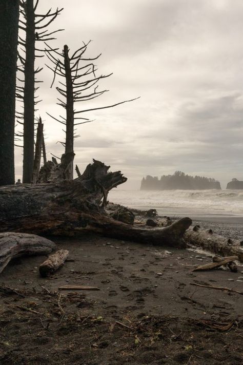 La Push Wallpaper, Push Wallpaper, La Push Washington, La Push Beach, Rialto Beach, Surf Vibes, Surf Shack, Black And White Wallpaper, White Wallpaper