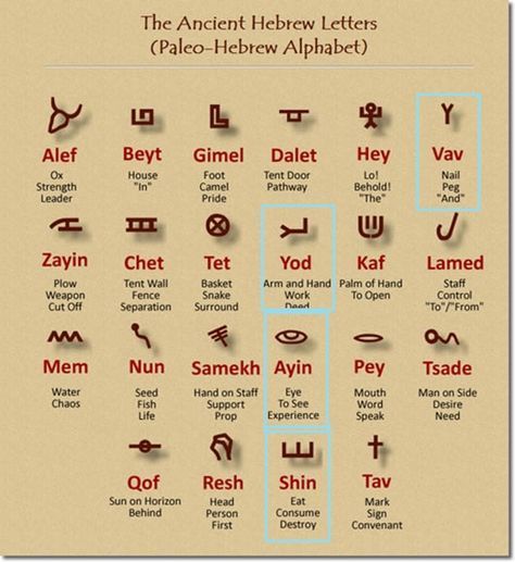 The Ancient Hebrew Letters, called the Paleo-Hebrew Alphabet, found at Tel Gezer and other sites Yod Hey Vav Hey, Paleo Hebrew Alphabet, Paleo Hebrew, Hebrew Lessons, Hebrew Roots, Biblical Hebrew, Hebrew Alphabet, Ancient Languages, Ancient Hebrew